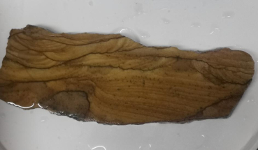 Slab Landschafts Jaspis